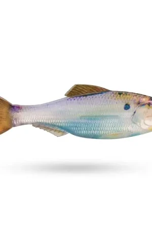 6th Sense Plump Panorama 5'' - Live Crappie Nouveauté