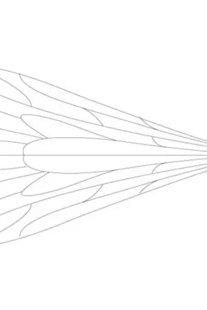 Retour Gratuit Pro Caddis Wings - XL