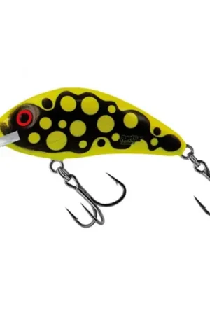 Salmo H4 5SR - Holographic Real Dace Meilleur Prix