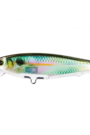 YO-Zuri 3DR Minnow SP100, RPC Promotion Saisonnière