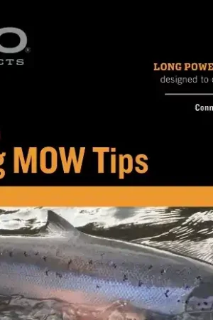 Rio InTouch MOW Extra Heavy Tip 15ft 10 Float/5 T-17 Bon Plan