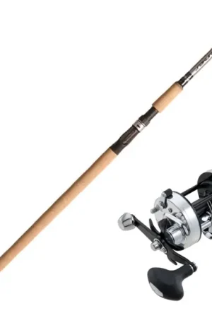 Offre Exclusive BFT Sakura V2 13' 50-180g Combo