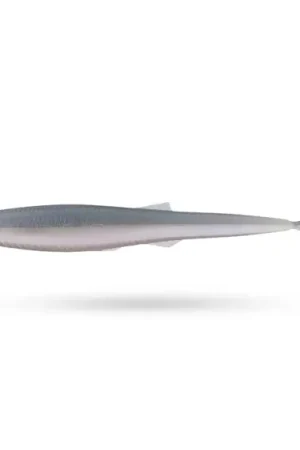 Jusqu'à Épuisement Des Stocks 6th Sense Sketch 4,3'' 11cm (8-Pcs) - Wakasagi