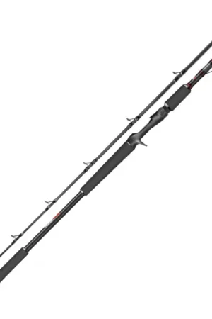 Offre Du Jour PikeFight V2 Casting 9' 170g 2pc