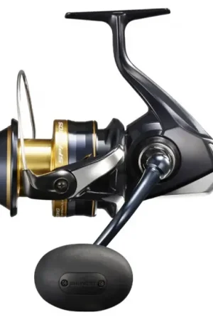 Commander Vite Shimano Spheros SW A 6000 HG