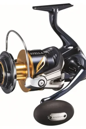 Bon Marché Shimano Stella SW-C 6000 XG