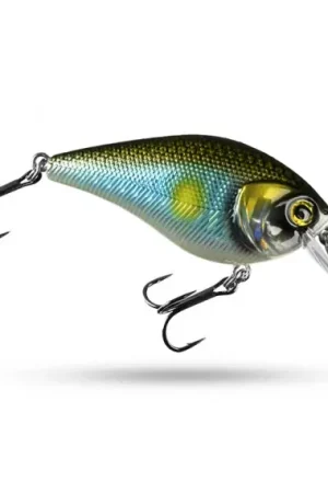 Scout Squarebill - Shitty Roach Top Vente