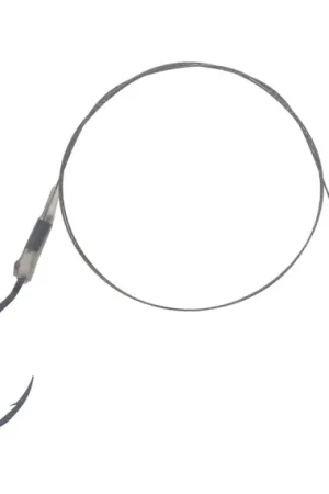 Meilleur Choix Westin Float Rig Single Hook - L 1X7 50cm 14Kg/30Lbs #4/9