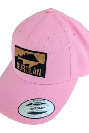 Acheter Direct Norolan Trucker Cap - Pink