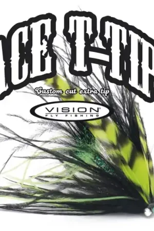 Vision ACE T14 - tip 10ft Commander Maintenant