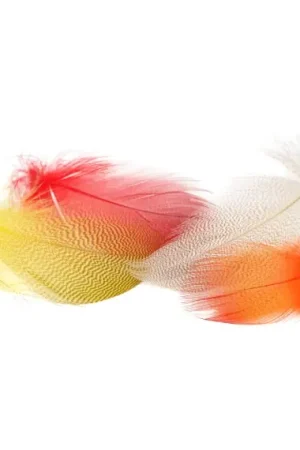 Meilleure Vente Mallard Barred Flank Large Select - Red