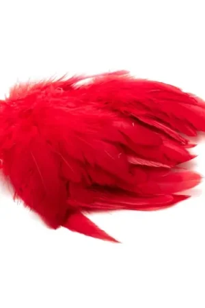 Commande En Gros Schlappen Short - Red