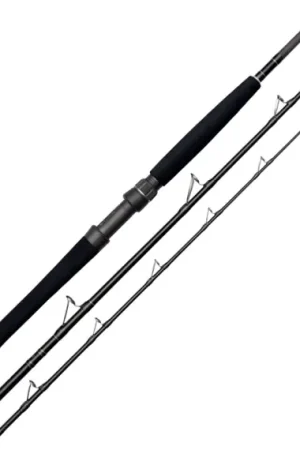 Westin W2 Boat 7'/210cm XXH 30-50Lbs/200-600g 3Sec Paiement Sécurisé