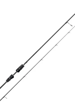 Meilleur Prix Westin W2 Spoon 6'1''/183cm L 1-6g 2 Sec