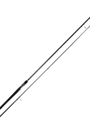 Authentique Westin W2 Deadbait Canal & Drains St 10'/300cm 175g 2sec/Semitele 3,0lbs