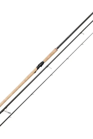 Offre Du Jour Westin W2 Salmon Wobler 10'/300cm ML Up To 30G 3Sec