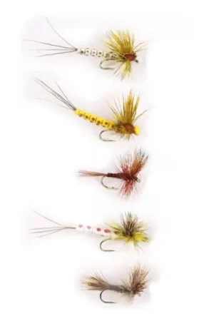 Seulement Aujourd'hui Mayflies 5-pack