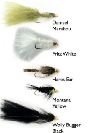 Goldhead Stillwater 5-pack Livraison Express