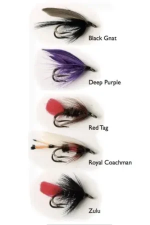 Quantité Limitée Wet Fly Double 5-pack
