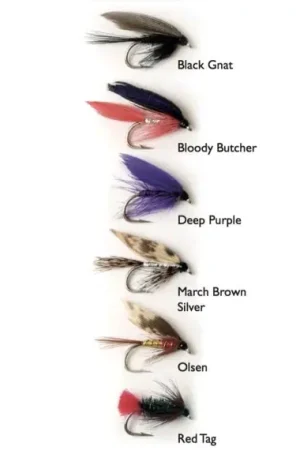 Dernier Modèle Wet Fly 1 6-pack