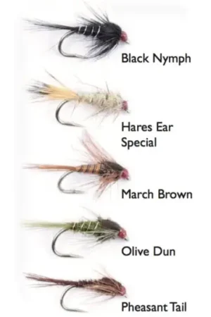 Commander Maintenant Nymphs Weighted 5-pack
