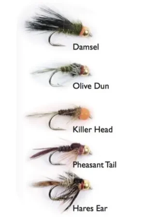 Goldheads Short Shank 5-pack Promotion