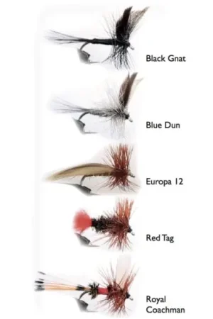 Dry Fly 1 5-pack Dernière Chance