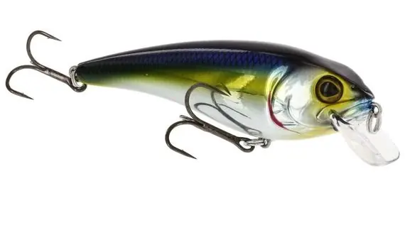 Must-Have Westin RawBite 110 mm 27 g LF Natural Pike