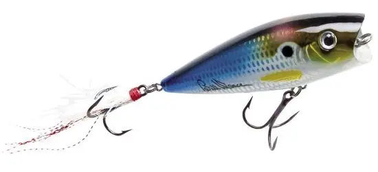 Heddon Pop'n Image 18gr DTS Quantité Limitée