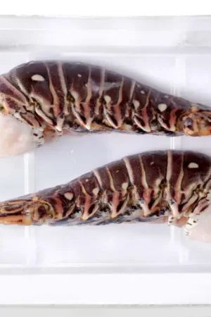 2 DEMI QUEUES DE LANGOUSTE BLANCHE CRUE 300G Vente Flash