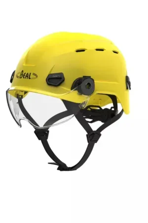 Authentique Visière de protection Casques Quantum BEAL