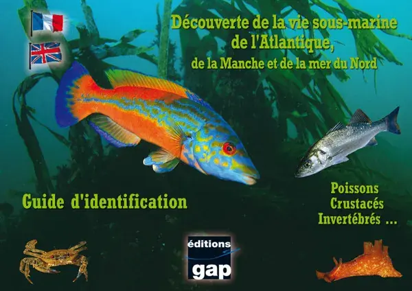Authentique LIVRE DECOUVERTE DES ESPECES DE L'ATLANTIQUE 8 PLAQUETTES TURTLE PROD
