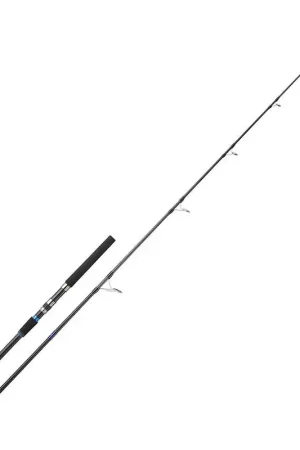 Usine Directe Canne spinning thon RYOKAN SW TUNA 250 30-150g | SAKURA