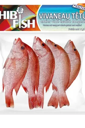 VIVANEAU 300-500 1.5KG Hibifish Seulement Aujourd'hui
