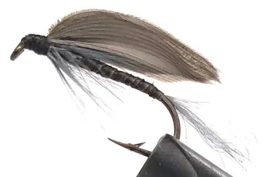 10 Flies - Wet Blue Quill on a Bronze 8 Mustad Hook - 0306 Affaire À Saisir