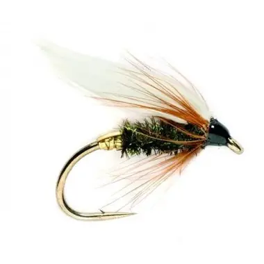 Wet Flies - Coachman - Hook Size : 14 Offre Spéciale