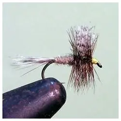 Paiement Sécurisé Dry Flies - Gray Fox - Hook Size : 12