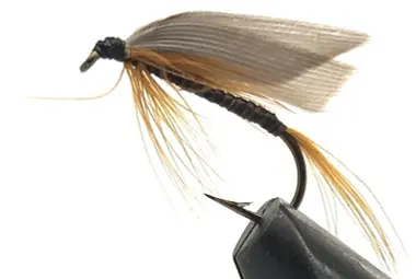 Retour Gratuit 10 Flies - Wet Ginger Quill on a Bronze 10 Mustad Hook