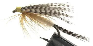 Promotion 10 Flies - Wet Light Cahill on a Bronze 8 Mustad Hook