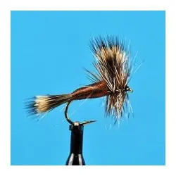 Meilleur Prix Dry Flies - Brown Wulff - Hook Size : 12