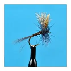 Prix Choc Dry Flies - Quill Gordon - Hook Size : 14