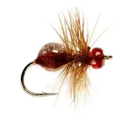 Satisfait Ou Remboursé Dry Flies - Hard Body Ant Brown - Hook Size : 12