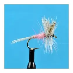Nouvel Arrivage Dry Flies - Light Hendrickson - Hook Size : 14