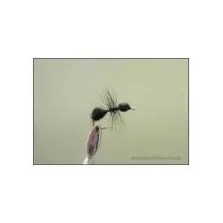 Seulement Aujourd'hui Dry Flies - Black Ant Traditional - Hook Size : 14