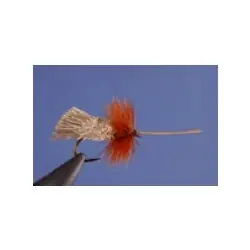 Promotion Saisonnière Dry Flies - Goddard Caddis - Hook Size : 12