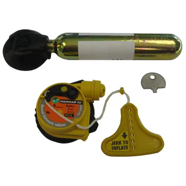 Acheter Direct Mustang Re-Arm Kit C 33g - Auto Hydrostatic