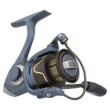 Prix Cassé Pflueger President 30 Spinning Reel - PRES30X