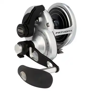 Acheter En Ligne PENN Fathom® II Level Wind - FTHII40NLD2
