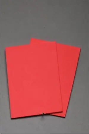 Thin fly foam FLY SCENE Rouge Commande En Gros