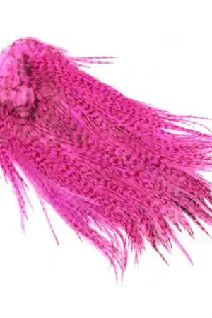 Cou de coq WHITING Coq de Leon Silver Saddle Grizzly dyed Pink Acheter Direct
